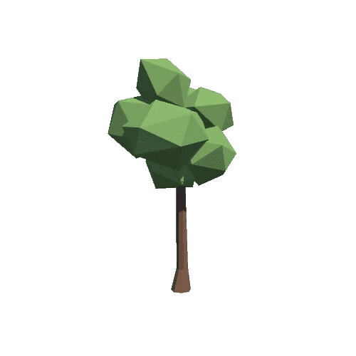 Tree 03